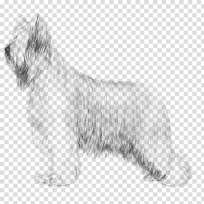 Skye Terrier Glen Briard Cesky Terrier Tibetan Terrier, others transparent background PNG clipart