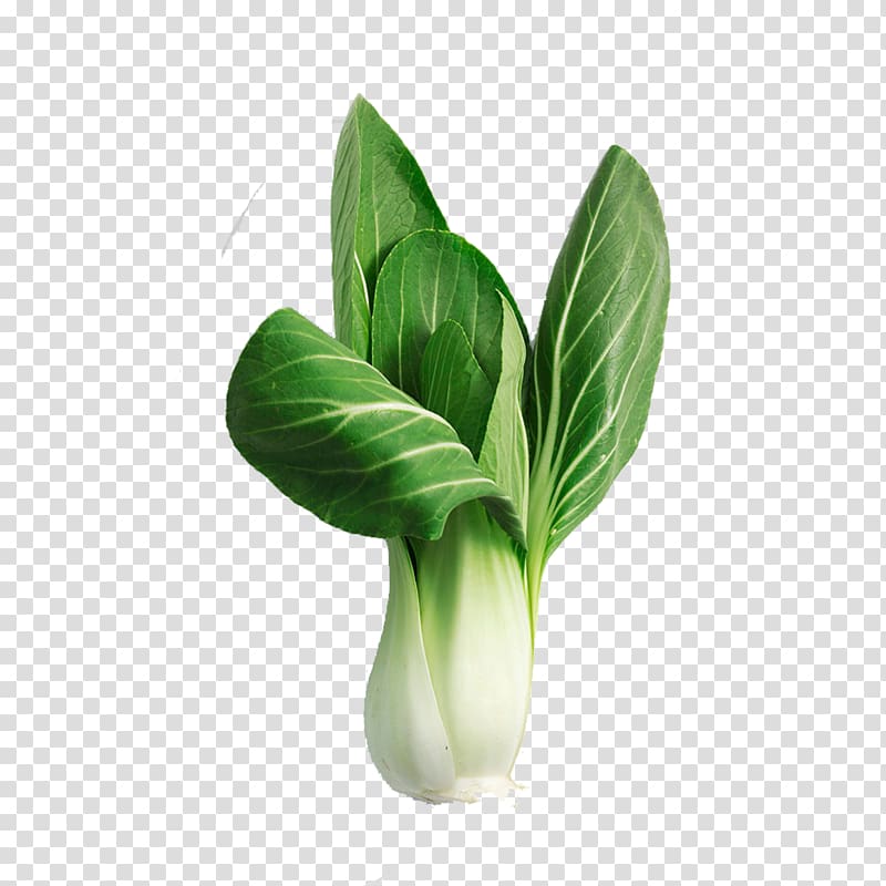 Red cabbage Bok choy Vegetable Chinese broccoli, Cabbage transparent background PNG clipart