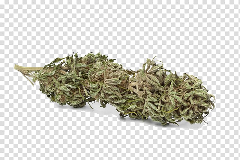 Cannabis cultivation Tetrahydrocannabinol Hemp Bud, Cannabis leaves transparent background PNG clipart