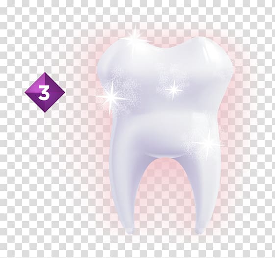Tooth Oral hygiene Human body, tooth germ transparent background PNG clipart