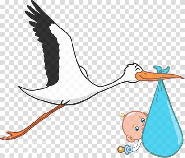 white and black bird carrying baby inside blue bag, Paris Bird Infant Ciconia Pregnancy, Hand painted baby storks transparent background PNG clipart