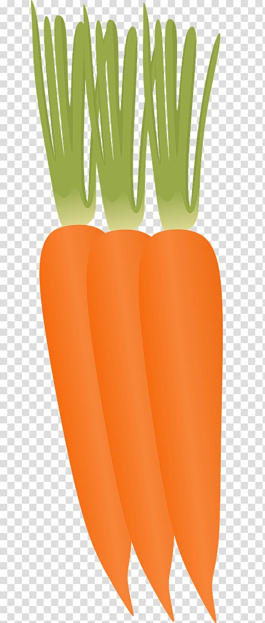 Baby carrot Vegetable Food, remedies transparent background PNG clipart
