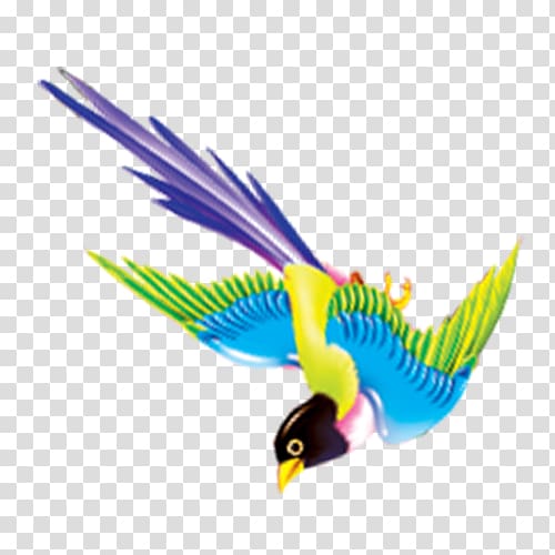 kingfisher transparent background PNG clipart