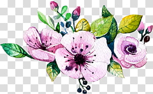 watercolor flowers transparent background PNG clipart thumbnail