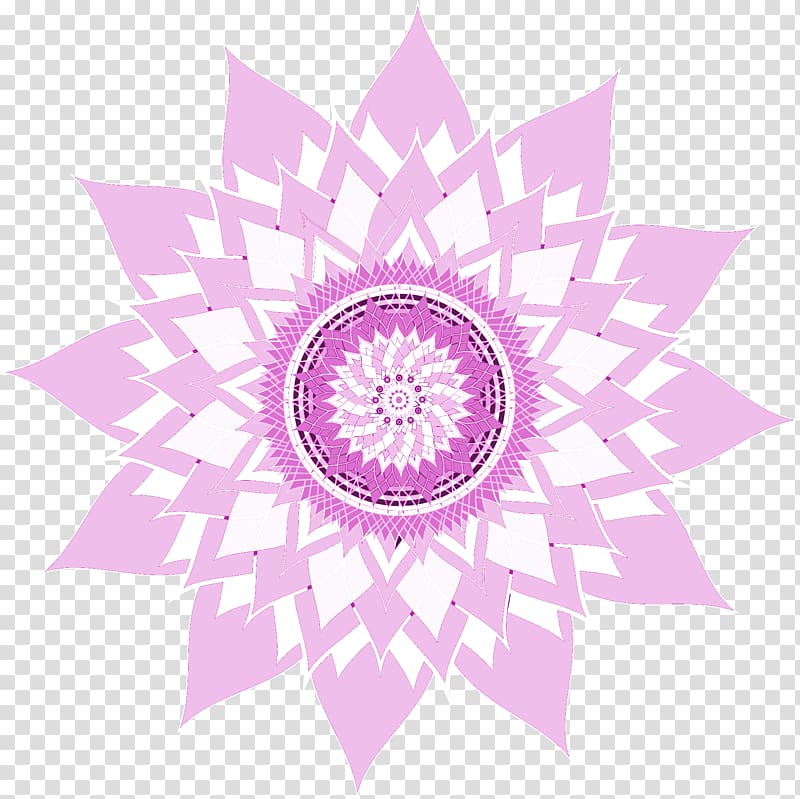 Mandala Reiki Chakra The Mindfulness Colouring Book: Anti-stress art therapy for busy people Spiritual practice, Sacrum transparent background PNG clipart
