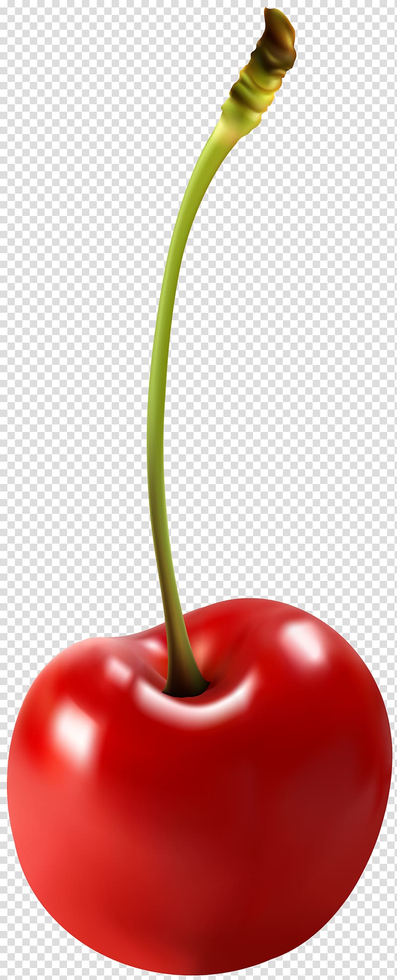 Sour Cherry , cherry transparent background PNG clipart
