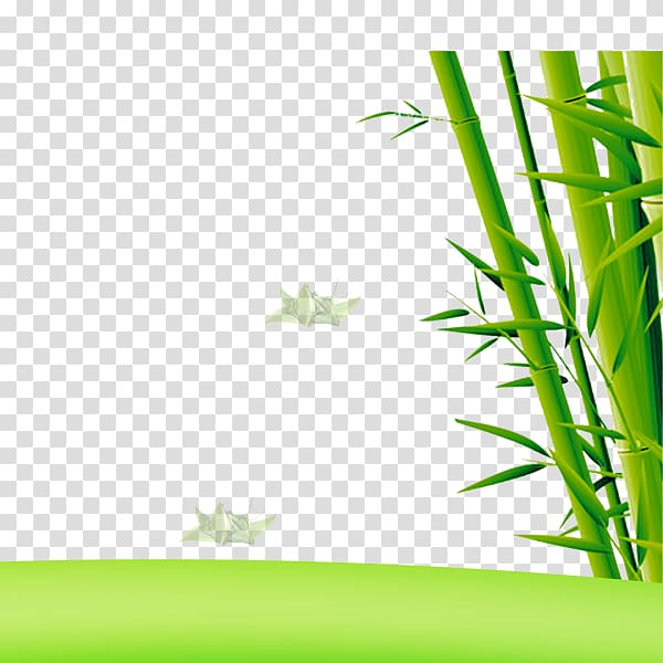 Bamboo Euclidean , bamboo transparent background PNG clipart