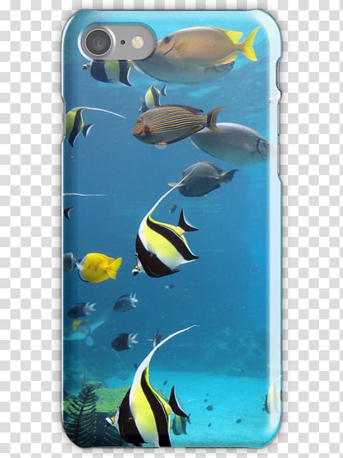 Coral reef fish Marine biology Ecosystem Underwater Marine mammal, fish skin transparent background PNG clipart
