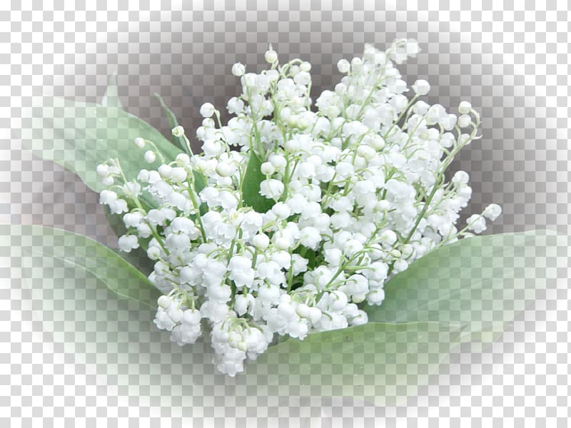 Lily of the valley 1 May Labour Day Perfume International Workers\' Day, lily of the valley transparent background PNG clipart