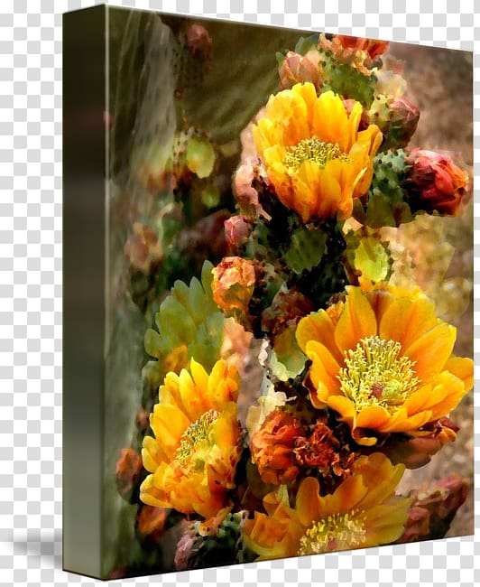 Floral design Cut flowers Gallery wrap Flower bouquet, flower transparent background PNG clipart