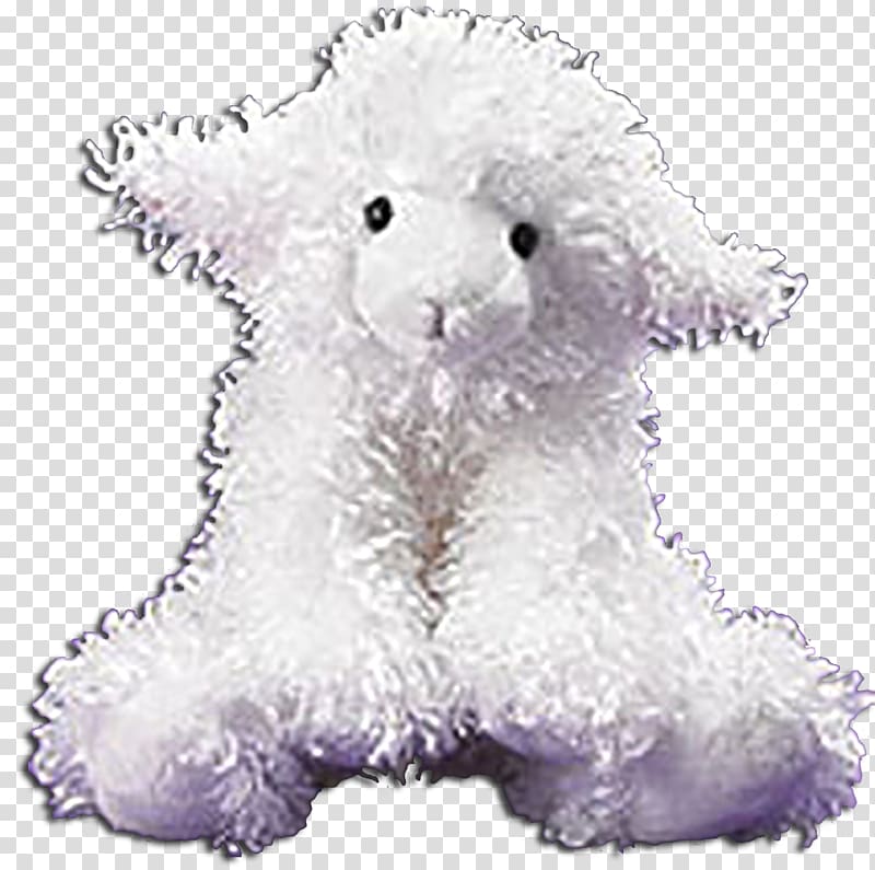 Teddy bear Puppy Dog breed Non-sporting group, puppy transparent background PNG clipart