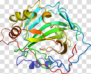 Line Point Leaf , line transparent background PNG clipart thumbnail