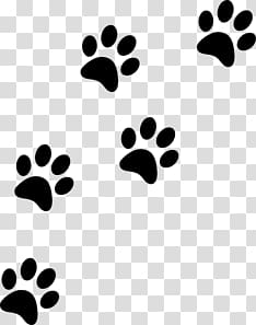 Cat Paw Prints transparent background PNG clipart HiClipart