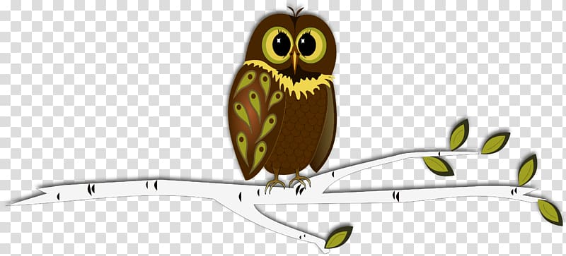 Baby Owls Drawing Owls for Kids , owl transparent background PNG clipart