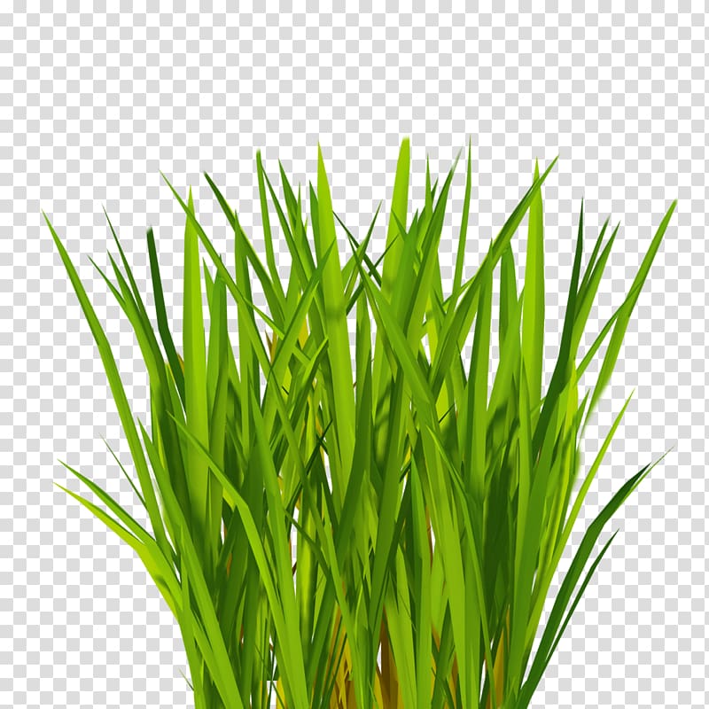 Lawn Computer Icons , others transparent background PNG clipart