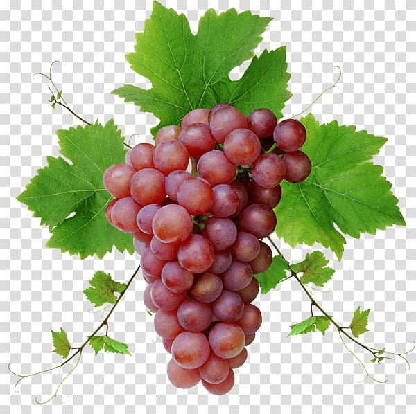 bunch of red grapes, Red Grape With Leaves transparent background PNG clipart