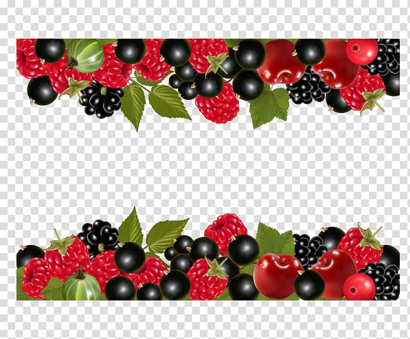 , berries transparent background PNG clipart