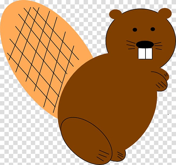 North American beaver , A beaver with different colored tails transparent background PNG clipart