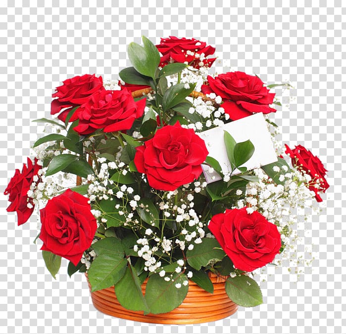 Flower bouquet Garden roses Baby's-breath, Shah Rukh Khan transparent background PNG clipart