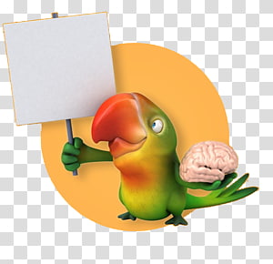 Lovebird Parrot Illustration, Take the board of parrots transparent background PNG clipart thumbnail