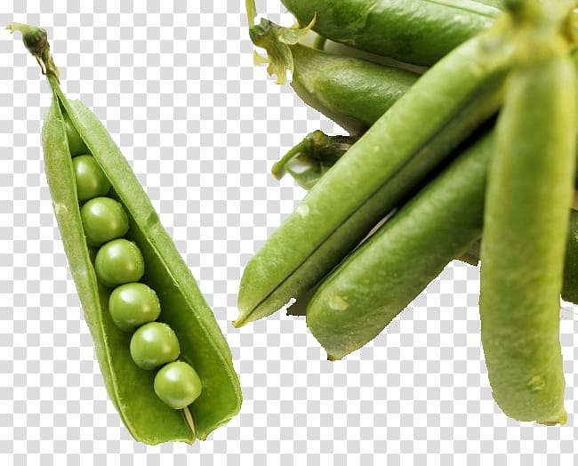 Green bean Vegetable Food Common Bean, pea transparent background PNG clipart