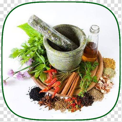 Herb Thai cuisine Spice PHARMACIE AL JABAL Oil, ayurvedic healing transparent background PNG clipart