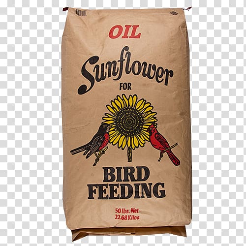 Sunflower seed Oil Seed company Common sunflower, sunflower oil transparent background PNG clipart