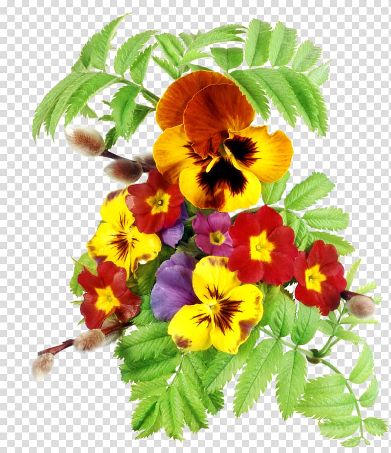 Encapsulated PostScript , pansy transparent background PNG clipart