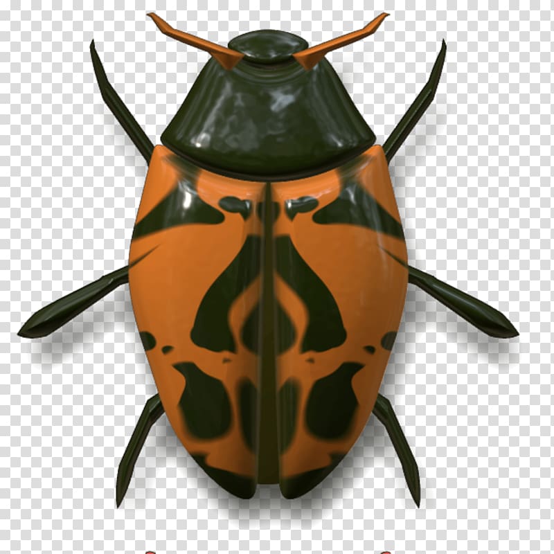 brown and black beetle , Ladybug Dark Green and Orange transparent background PNG clipart