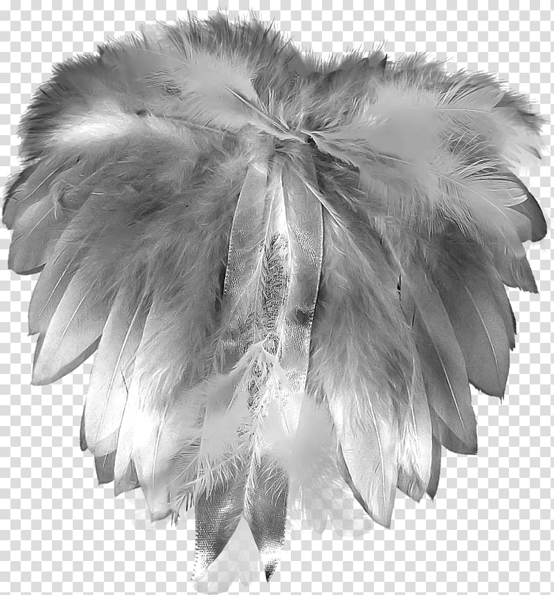 Feather Grey Plumage Gratis, Pretty creative feather transparent background PNG clipart