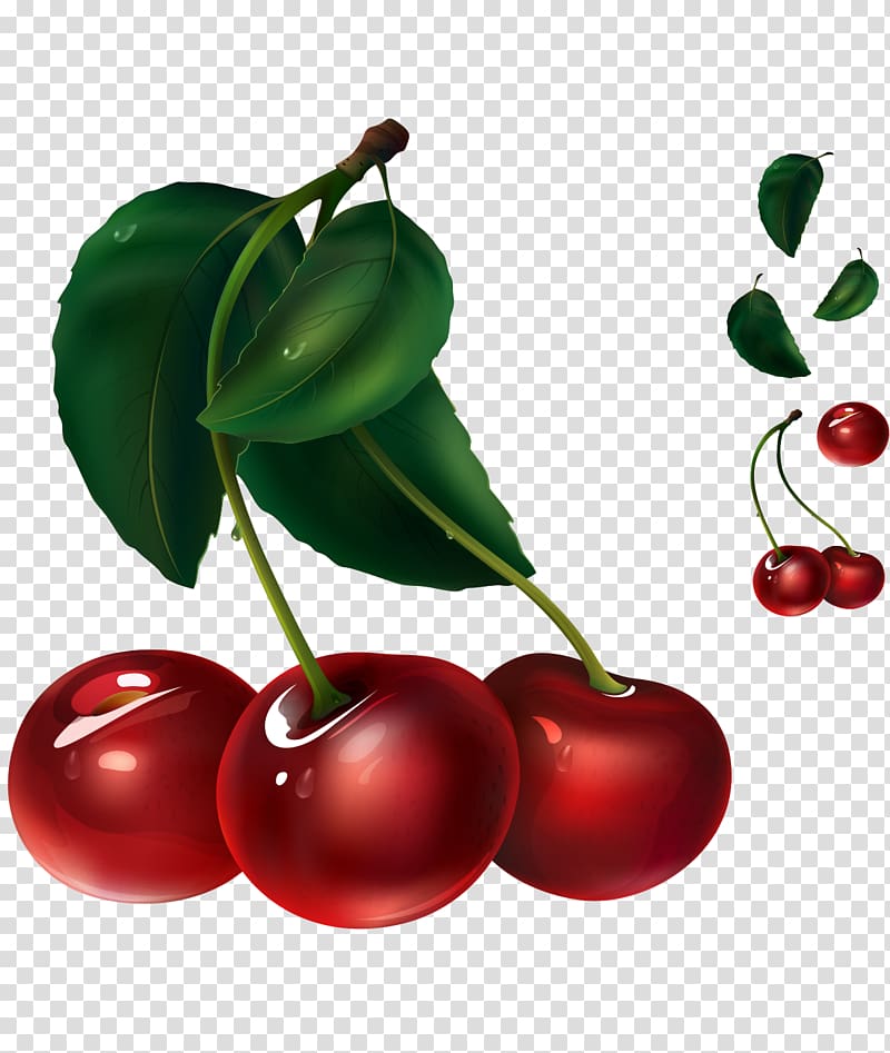 Juice Cherry Fruit Illustration, Painted red cherry fruit green leaves transparent background PNG clipart