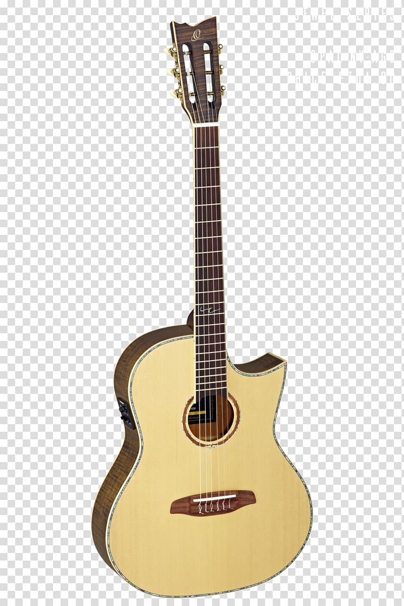 Classical guitar Steel-string acoustic guitar Acoustic-electric guitar Musical Instruments, amancio ortega transparent background PNG clipart
