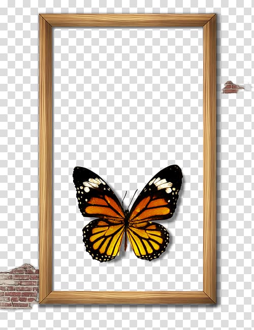 Butterfly frame Computer file, Butterfly Frame transparent background PNG clipart