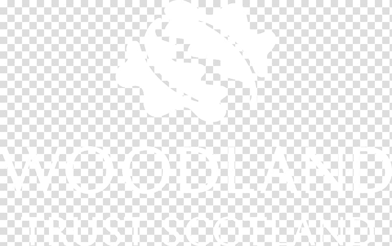 United States Hilton Hotels & Resorts Organization Logo, united states transparent background PNG clipart United States Hilton Hotels & Resorts Organization Logo, united states transparent background PNG clipart
