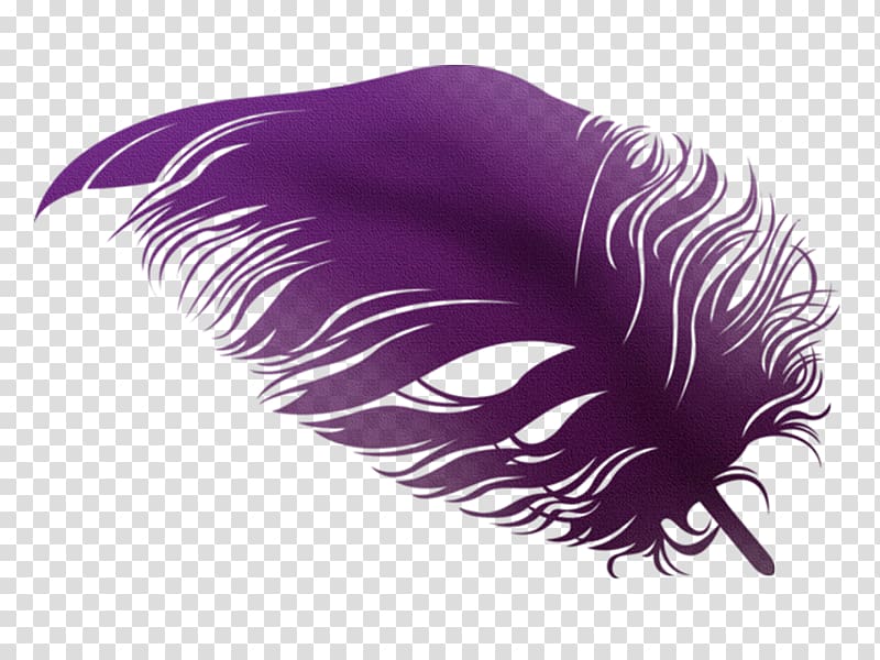 Feather Violet, pluma transparent background PNG clipart