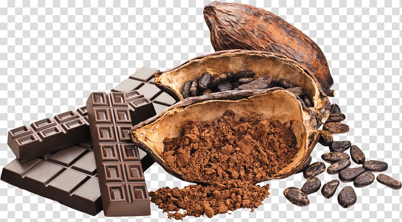 Cacao transparent background PNG clipart
