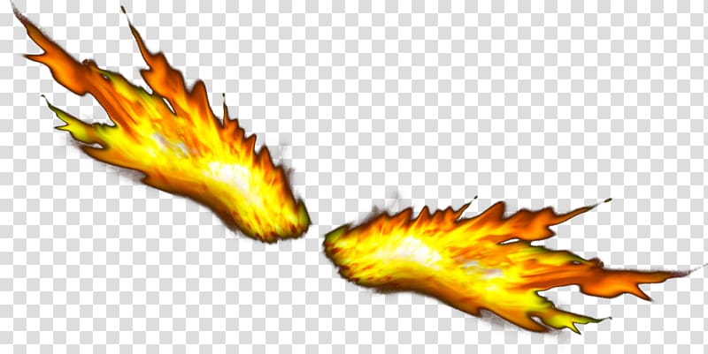 Flame Combustion , Burning Wings transparent background PNG clipart