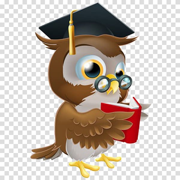 Owl Diploma Professional certification Academic degree, owl transparent background PNG clipart