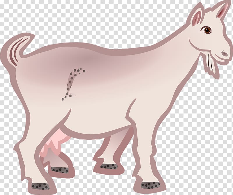 Boer goat Line art Sheep , goat transparent background PNG clipart