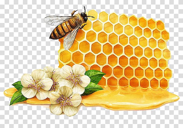 honey honey flowers creative transparent background PNG clipart