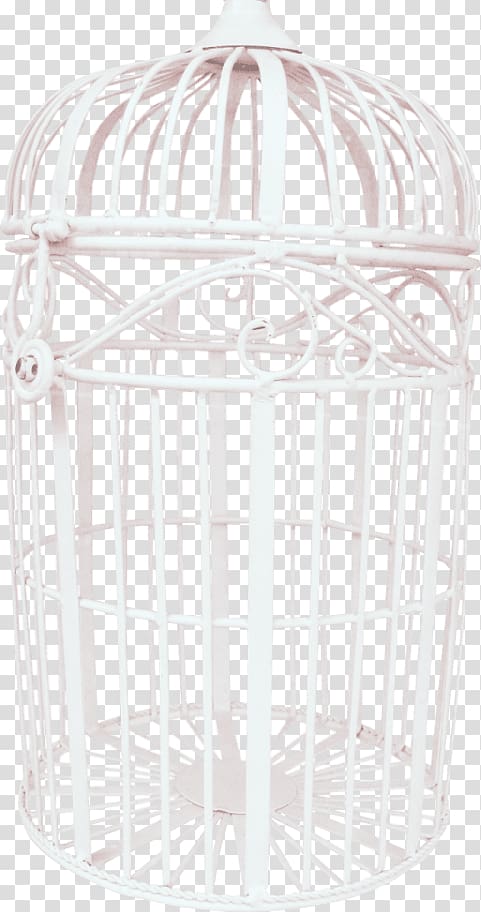 Birdcage Birdcage Portable Network Graphics , Bird transparent background PNG clipart