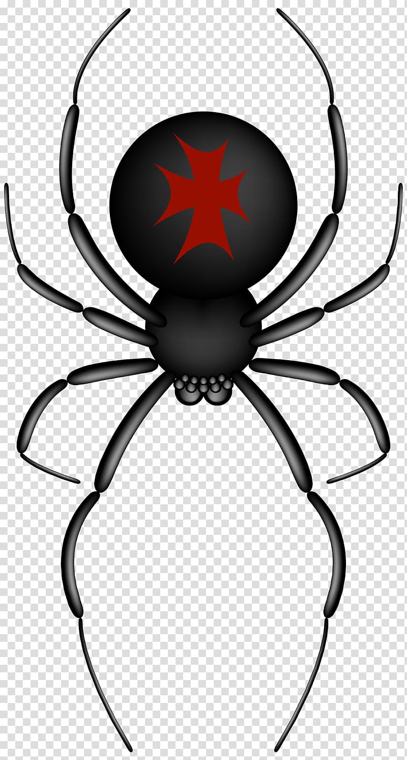 black and red spider illustration, Spider-Man , Crusader Spider transparent background PNG clipart