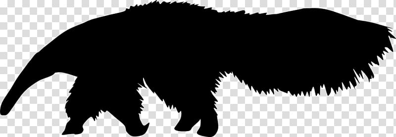 Whiskers Dog Fur Canidae Snout, Giant Anteater transparent background PNG clipart