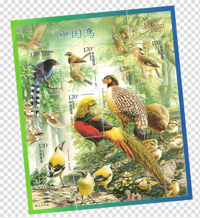 China Bird Postage Stamps Miniature sheet Holiday stamp, China transparent background PNG clipart