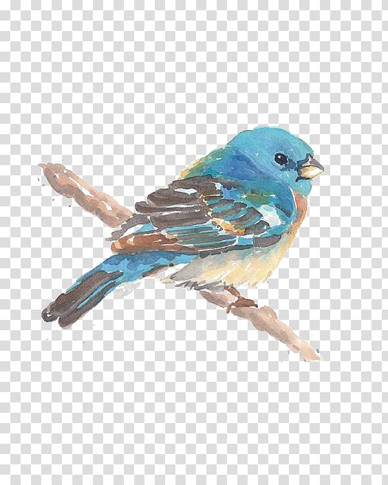 blue and brown bird , Bird Watercolor painting Drawing, Birds transparent background PNG clipart