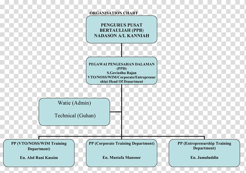 Organizational chart Afacere Organizational structure Afdeling, organisasi transparent background PNG clipart