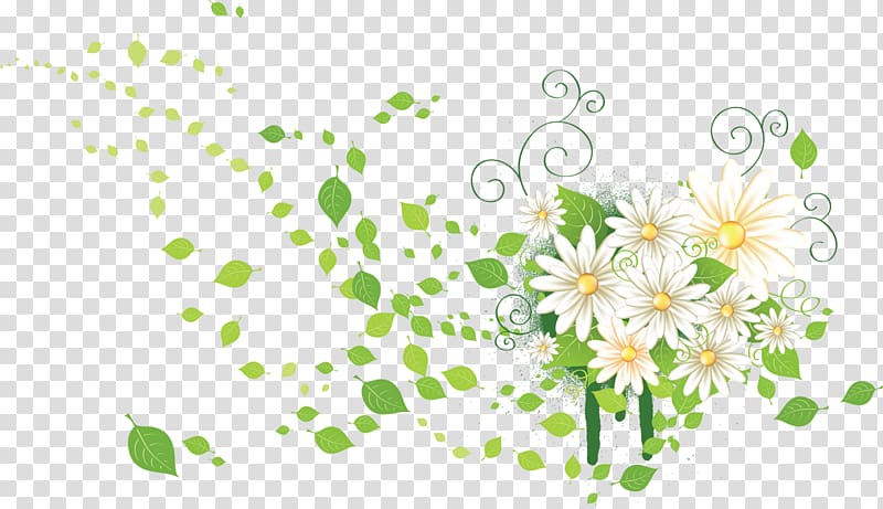 Flower Raster graphics , chamomile transparent background PNG clipart