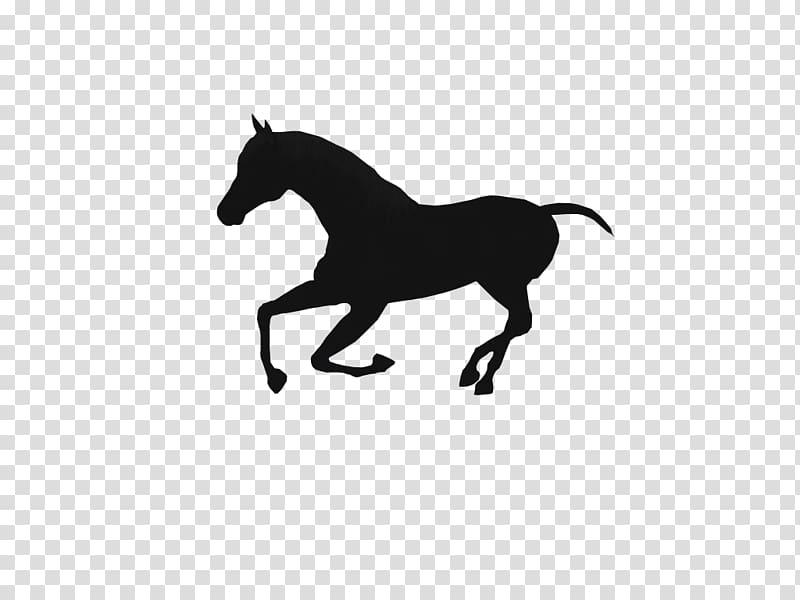 Mustang Stallion Pony Colt, hores transparent background PNG clipart