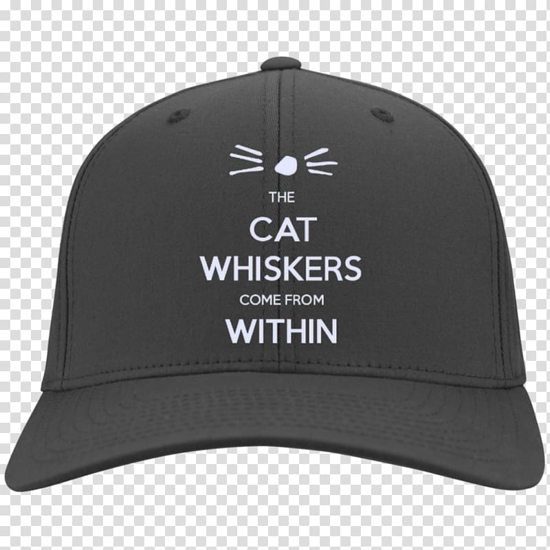 cat whiskers dan and phil