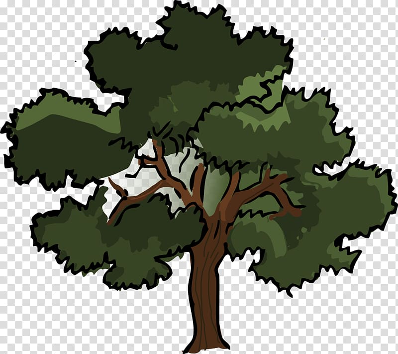 Oak Tree , cartoon tree transparent background PNG clipart